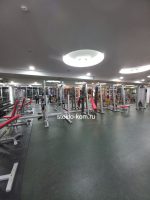 Зеркала в спортзал — изображение 2