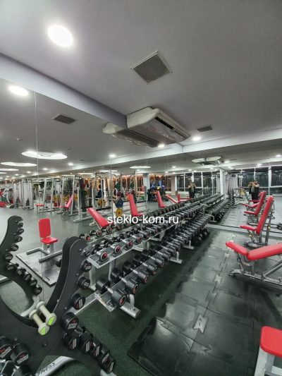 Зеркала в спортзал — изображение 5