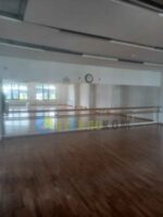 Зеркала в танцевальный зал г. Москвы