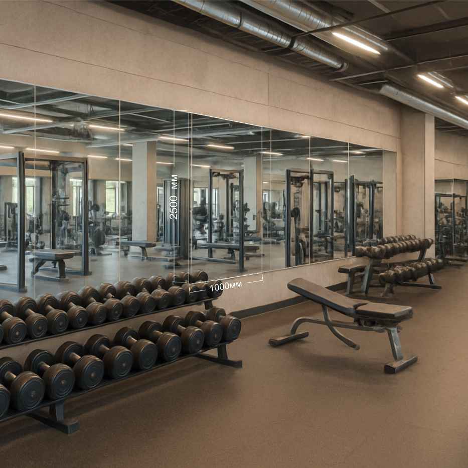 Зеркало в фитнес зал 2500 х 1000 мм Зеркало в фитнес зал с доставкой и монтажем 2500 х 1000 мм